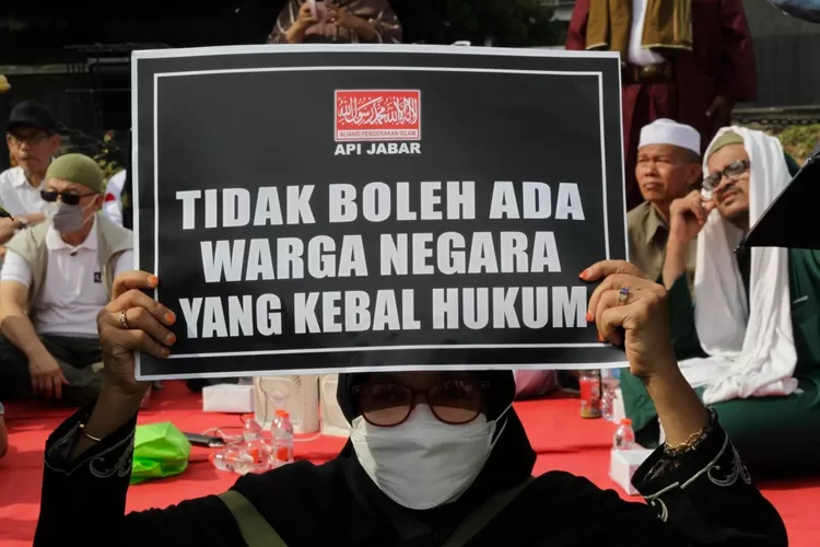 Peserta aksi reuni 411 membawa poster bergambar kodok dan adili Jokowi dan tangkap Fufufafa - Foto: Henri Lukmanul Hakim