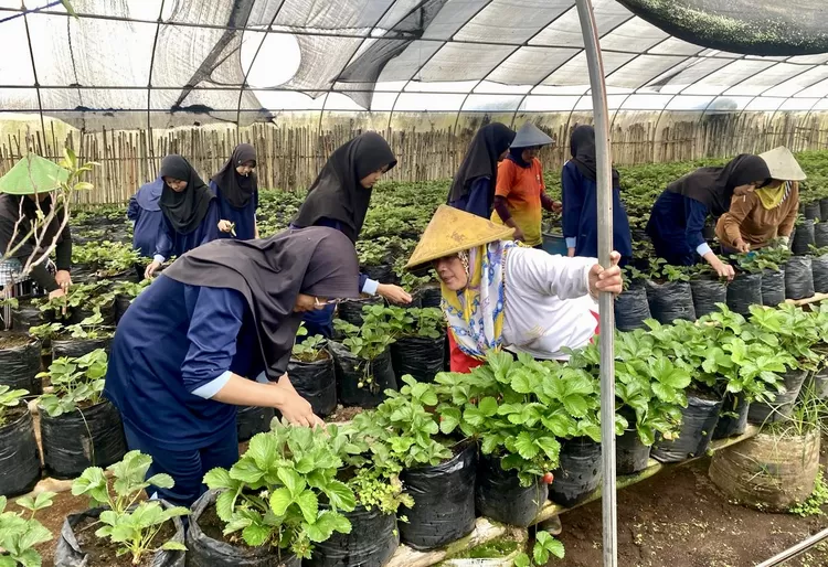 SMP PCI Gelar Sekolah Alam - Foto: Istimewa