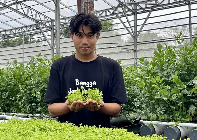 Salah seorang penerima manfaat menunjukkan bibit  seldri yang siap tanam - Foto: Henri Lukmanul Hakim