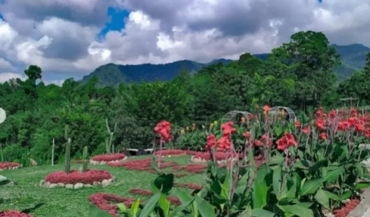 Taman Betung berlatar Gunung Betung