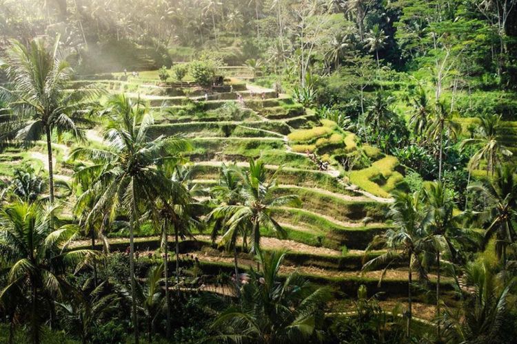 Daerah di Bali Ini Masuk Daftar Keajaiban Alam di Dunia