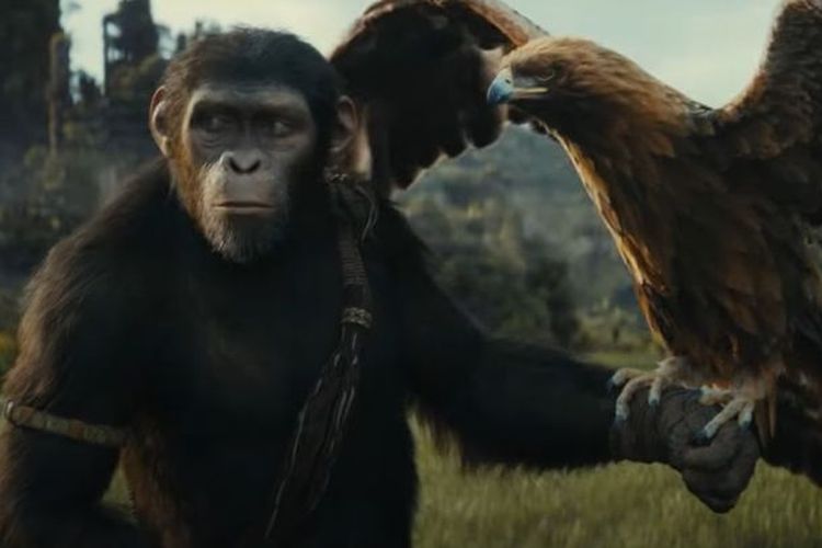 SEGERA TAYANG DI LK21 Film Kingdom of The of The Apes Bakal