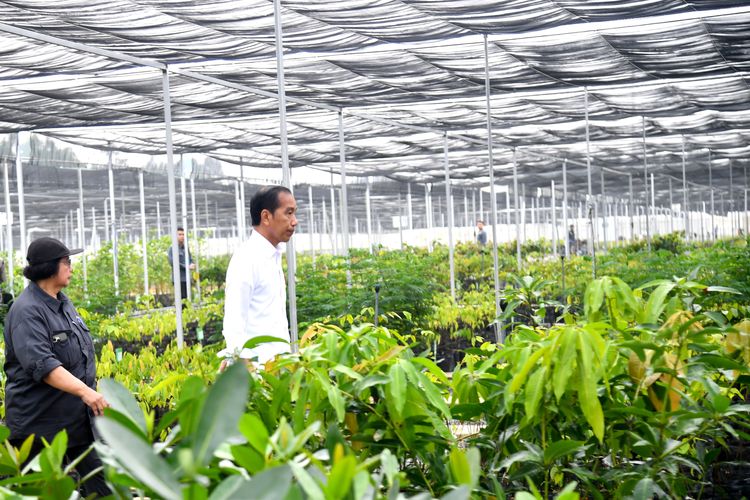 Terkait Pernyataan Agus Rahardjo, Istana Memilih Diam 