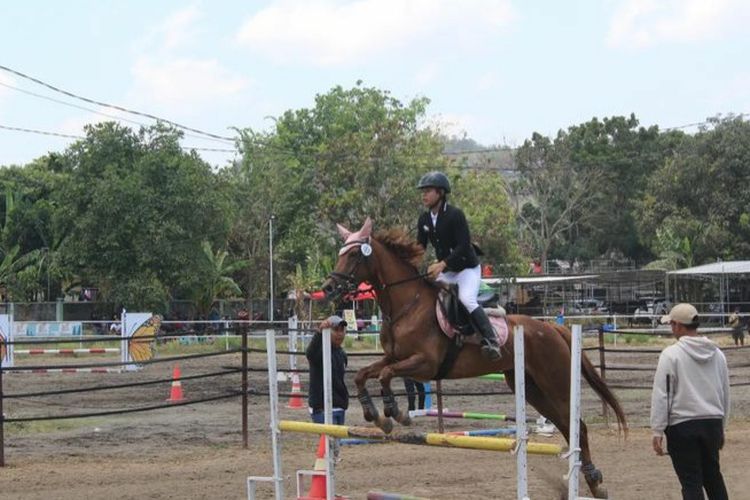Berkuda Ternyata Banyak Manfaat, Sebaiknya Berlatih Sedari Kecil