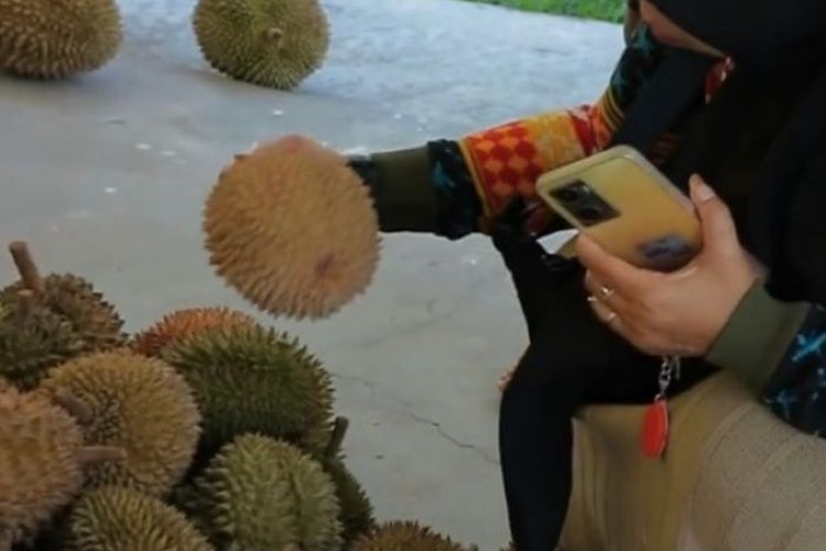 Di Penghujung Tahun, Ada Pesta Durian di Nara Kupu Jogja