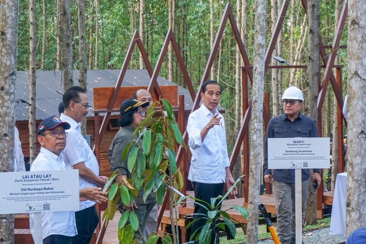   Bakal Jadi Smart Forest City, Jokowi Tanam Pohon di IKN