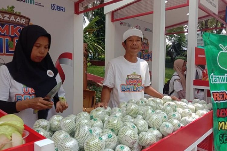 KUR BRI Dorong Kemajuan Klaster Jambu Kristal di Purworejo