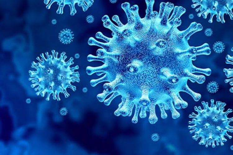 Virus covid-19 varian Eris sudah masuk ke indonesia