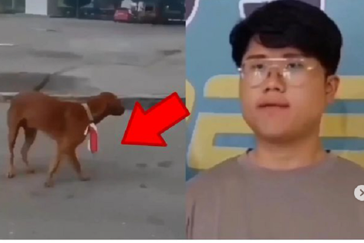 Polisi Akhrinya Ciduk Pria yang Kalungkan Bendera Merah Putih ke Leher Anjing  