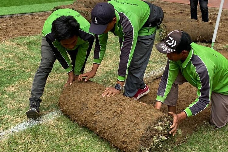 Jelang Piala Dunia U-17, JakPro Bongkar Rumput JIS Sesuai Rekomendasi FIFA