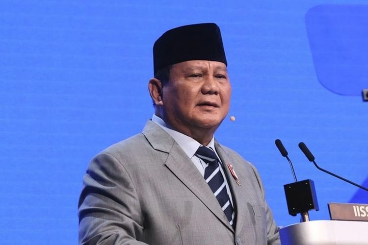 Bicara di KTT untuk Gaza, Prabowo Paparkan 4 Poin, Indonesia Siap Kirim Tim Medis dan Rumah Sakit