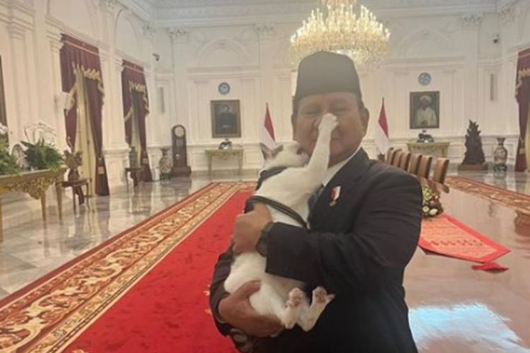 Prabowo Unggah Tingkah Gemas Kucing Bobby di Istana, Warganet Ramai Komentar Lucu