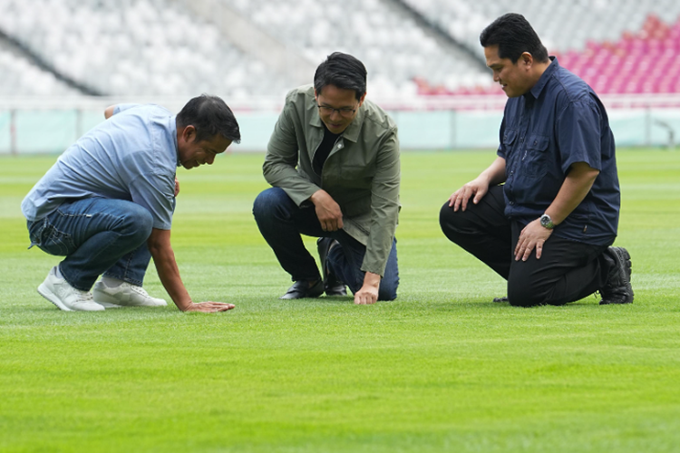 Begini Kondisi Rumput SUGBK Jakarta hingga Persiapan Timnas Indonesia Jelang Kontra Jepang dan Arab Saudi