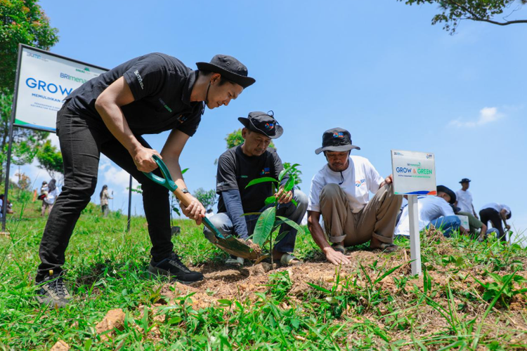 Aksi Nyata Kelompok Tani Selamatkan Lingkungan Bersama BRI Menanam-Grow & Green: Pulihkan Hutan Bekas Tambang