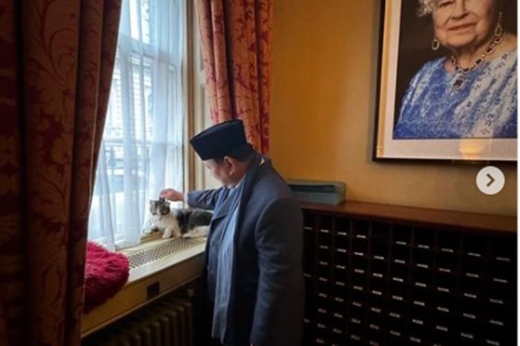 Momen Menarik Prabowo di Inggris: Elus Larry the Cat dan Beri Perhatian ke Sri Mulyani yang Kedinginan