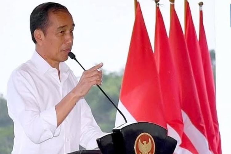 Daftar 27 Nama Termasuk Jokowi, Gibran dan Bobby yang Dipecat PDIP, Simak Alasan Pemecatannya! 