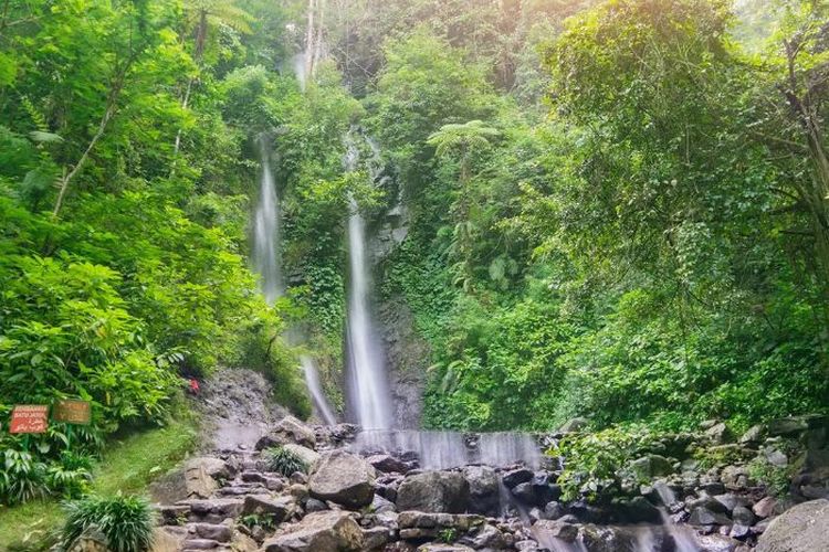 Misteri Dibalik Curug Cilember, Keindahan Alam dan Mitos Misterius di Puncak Bogor
