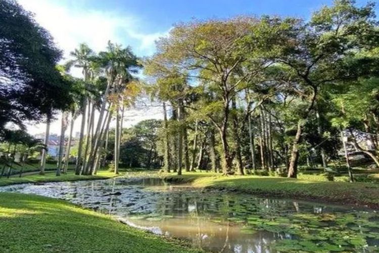 Misteri Malam Taman Langsat Mayestik Jakarta Selatan: Legenda Urban yang Menantang