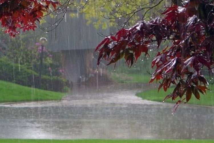 Tanda-Tanda Kehadiran Allah dalam Hujan: Surah Al-Mu'minun dan Doa Nabi Muhammad SAW