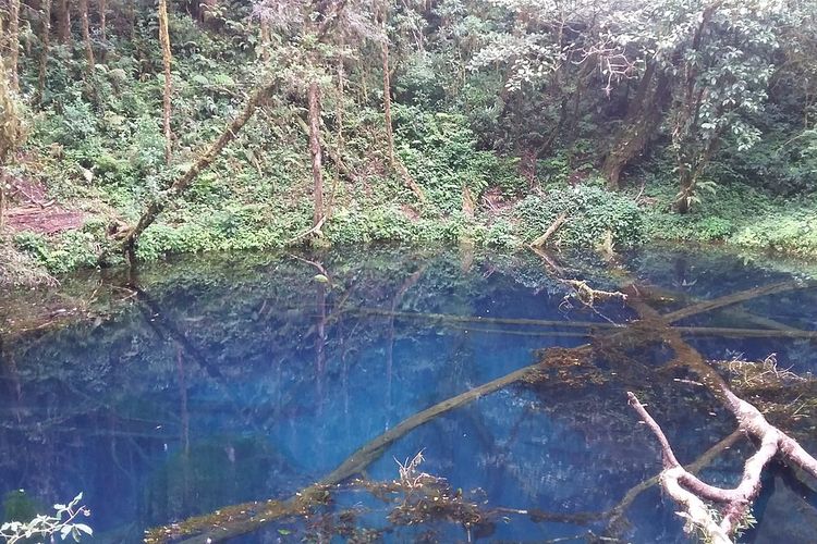  Mirip Danau Kaco Kerinci, Telaga Biru Merangin, Permata Baru di Tengah Hutan Belantara