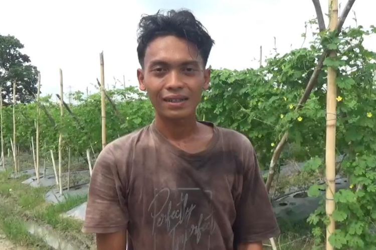 Harga Pare Anjlok, Petani di Muaro Jambi Menjerit 
