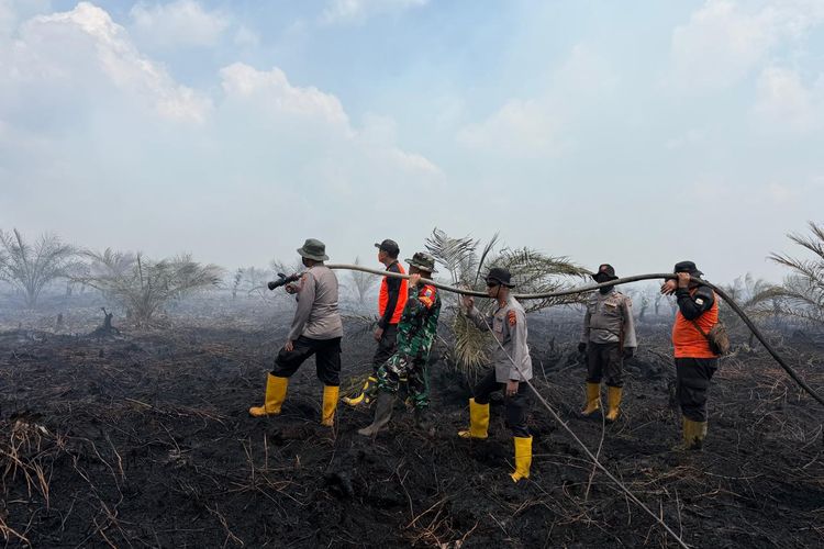 Karhutla Terus Membara, Jangan Sampai Krisis Asap 2023 Terulang