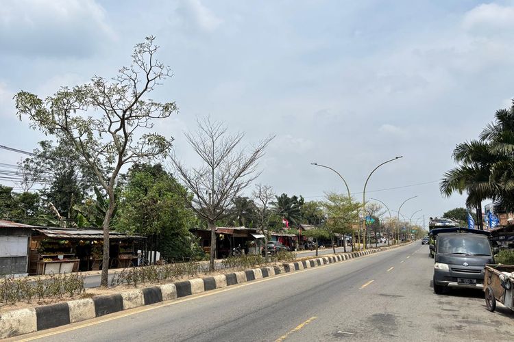 ISPU Muaro Jambi Turun Jadi 117, Udara Masih Tidak Sehat Setelah Sempat Tembus 206