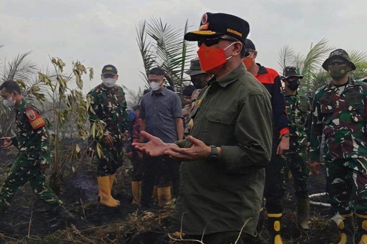 Karhutla Mengganas, Al Haris Ajak Ulama Gelar Salat Istisqa di Jambi
