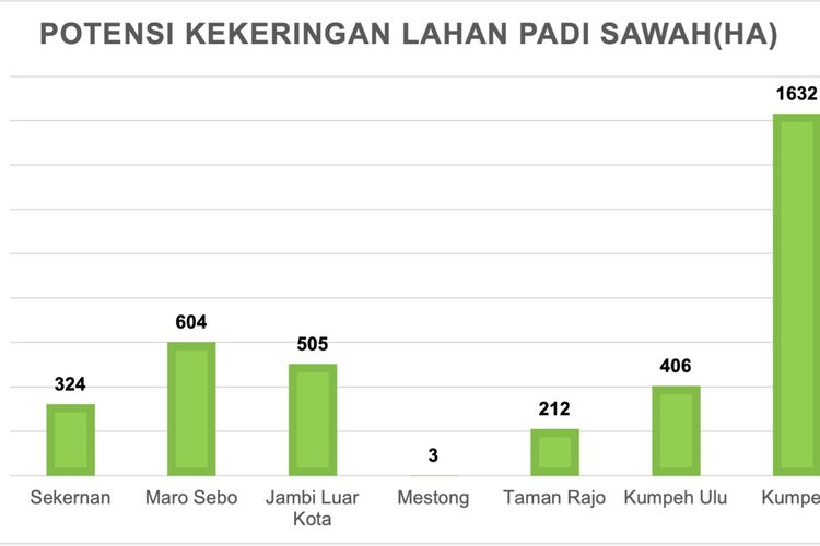 3.686 Hektare Sawah di Muaro Jambi Terancam Kekeringan, Petani Diminta Segera Pompanisasi