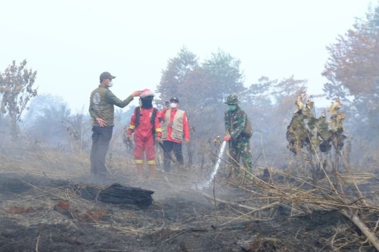 Tiga Kasus Karhutla Perusahaan di Jambi Masuk Penyelidikan, Menhut: Tidak Ada yang Kebal Hukum