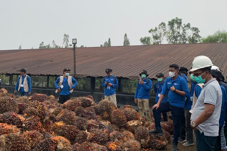 Tingkatkan Kompetensi 211 Petani Sawit, PTPN IV Regional IV Fasilitasi Pelatihan Bersama IPB Training