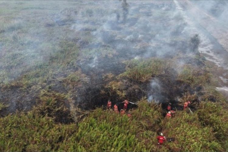 Jeriken Pertalite Ditemukan di Lokasi Karhutla Batang Hari