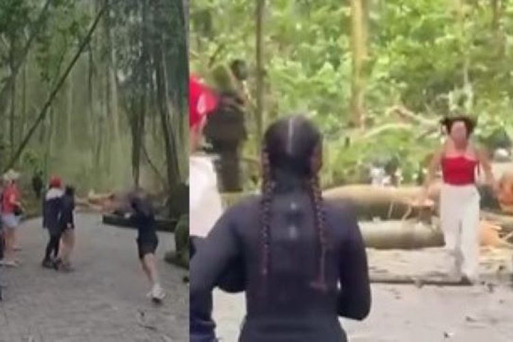 Berita Seputar Monkey Forest Terbaru Dan Terkini Hari Ini Pos Bali