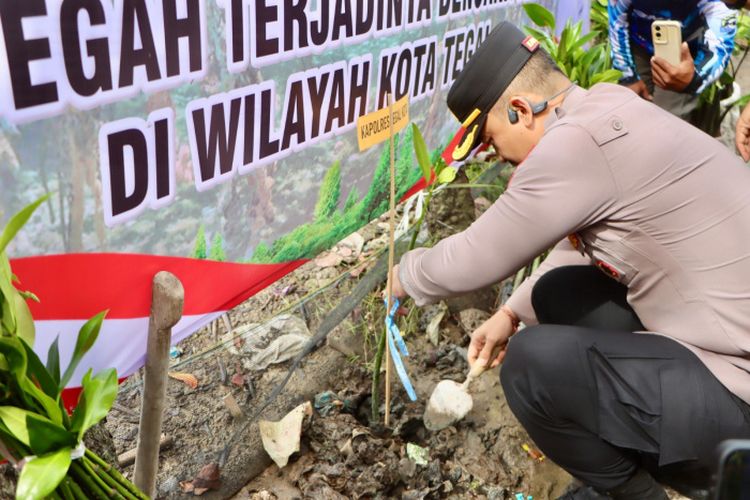 Polres Tegal Kota Bersama Pramuka Tanam 1.000 Mangrove, Lindungi Pesisir dari Abrasi