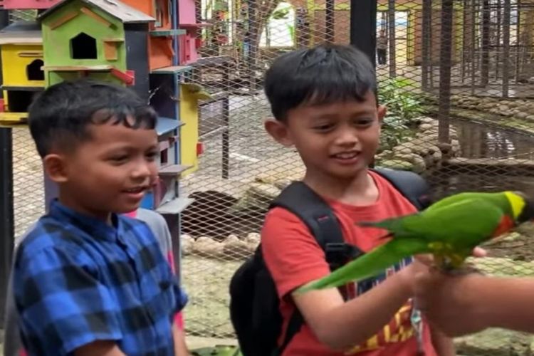 Rahasia Serunya River Walk Boja Destinasi Favorit Liburan Keluarga di Kendal Jawa Tengah