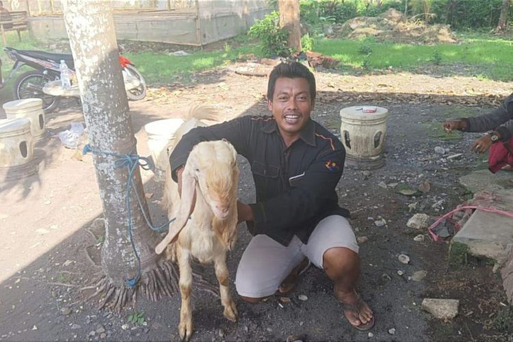 Kasus Pencurian Kambing Etawa di Kabupaten Jember Diungkap Polisi