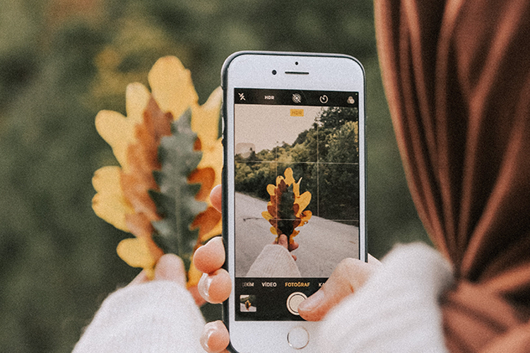 7 Rahasia Fotografi dengan Smartphone dan Trik Ampuh Agar Foto Memikat