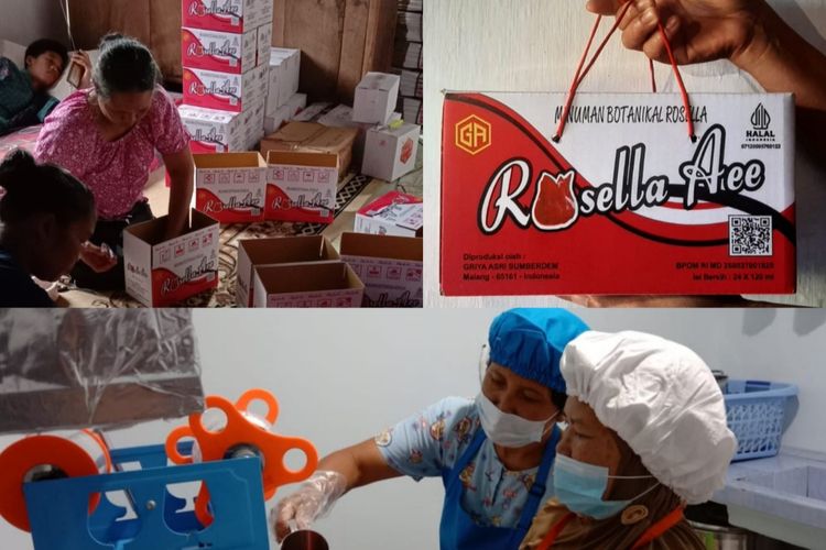 Manfaat Tanaman Rosella Peluang Bisnis Pelaku UMKM Malang Bekerjasama Dengan BRI