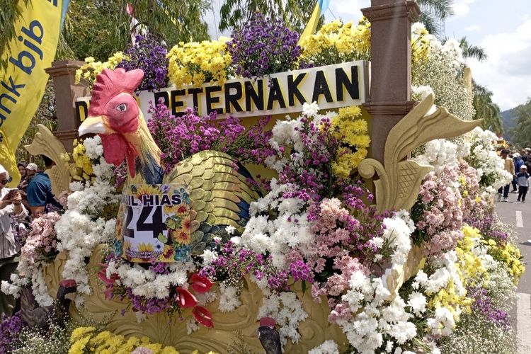 Disnak Berhasil Ciptakan Ayam Ulu Kawinan Ayam Pelung Sukabumi dengan Ayam Petelur Perancis 