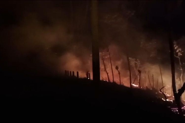 Breaking News! Kebakaran Lahan di Kawasan Geopark Ciletuh Membahayakan Wisatawan 