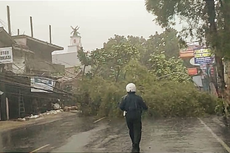 Pohon Tumbang Tutup Total Jalan Ciaul Sukabumi