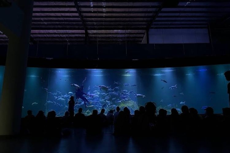 Pesona Aquarium Indonesia Pangandaran Wisata yang Mengusung Marine Aquarium Education Centre