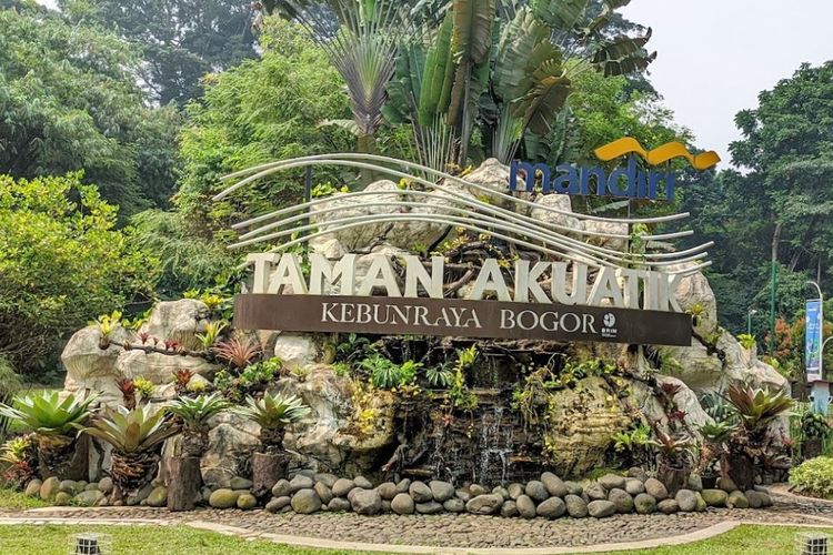 Bukan Hanya Kebun, ini Beberapa Alasan Kenapa Kamu Harus Mengunjungi Kebun Raya Bogor