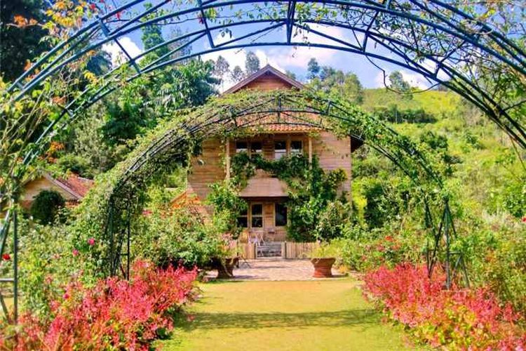 Nikmati Keindahan Alam di Kebun Mawar Situhapa, Destinasi Wisata Instagramable di Garut