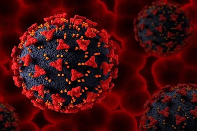 Mengenal HMPV, Ancaman Baru bagi Kesehatan Pernapasan