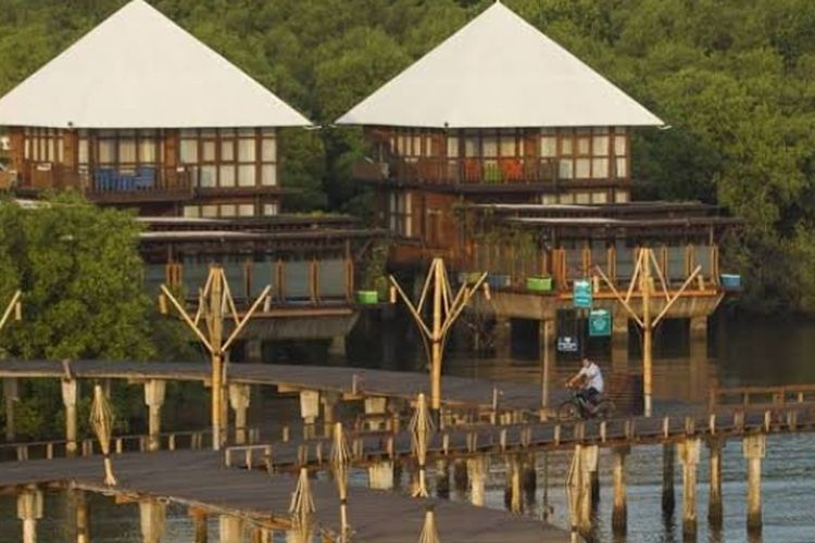 Liburan Eksotis di BeeJay Bakau Resort, Menikmati Keindahan Alam Hutan Bakau yang Asri