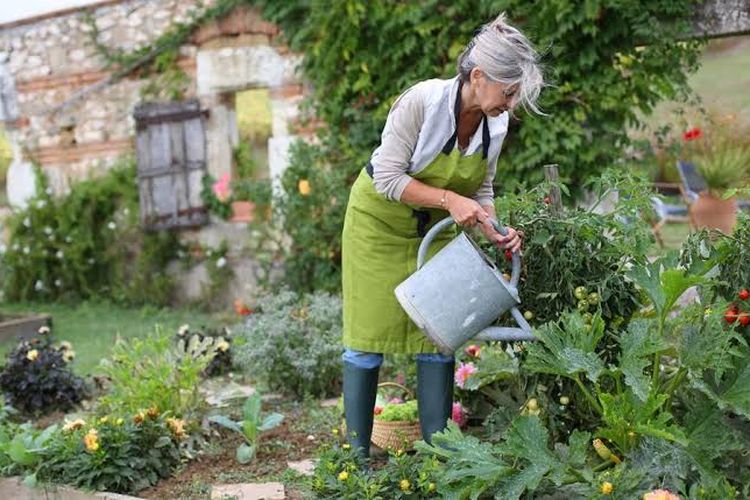 Nikmati Masa Pensiun dengan 7 Aktivitas yang Bikin Hidup Makin Berwarna