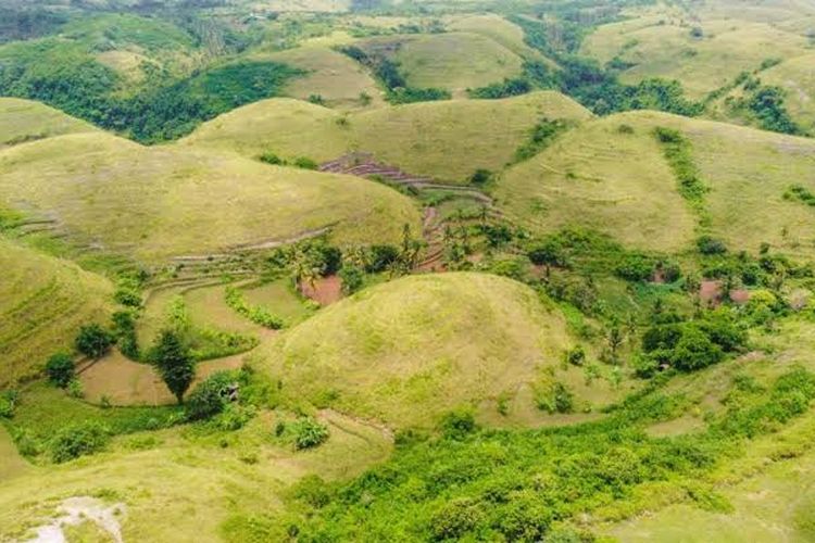 Bukit Teletubbies, Spot Foto Instagramable Terfavorit di Nusa Penida