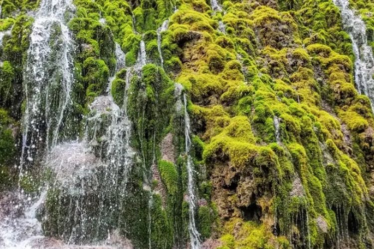 Sejuknya Air Terjun Pletuk, Pelarian Sempurna dari Hiruk Pikuk Kota