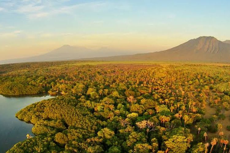 Afrika Van Java, Petualangan Seru Savana di Taman Nasional Baluran